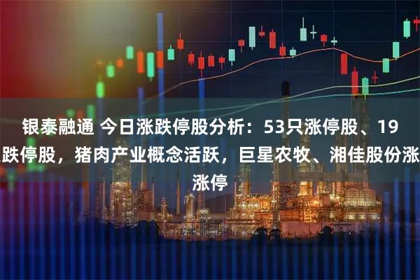 银泰融通 今日涨跌停股分析：53只涨停股、19只跌停股，猪肉产业概念活跃，巨星农牧、湘佳股份涨停