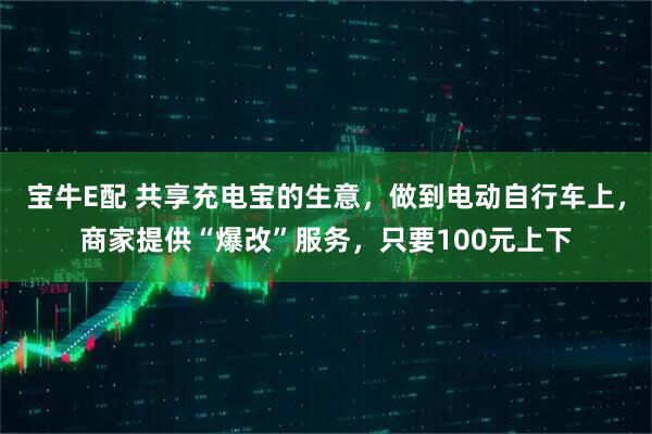 宝牛E配 共享充电宝的生意，做到电动自行车上，商家提供“爆改”服务，只要100元上下