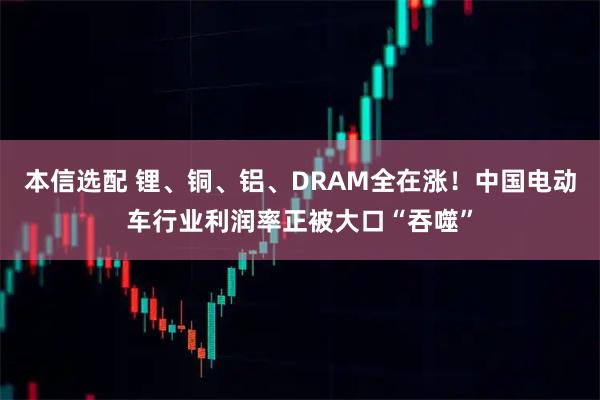 本信选配 锂、铜、铝、DRAM全在涨！中国电动车行业利润率正被大口“吞噬”